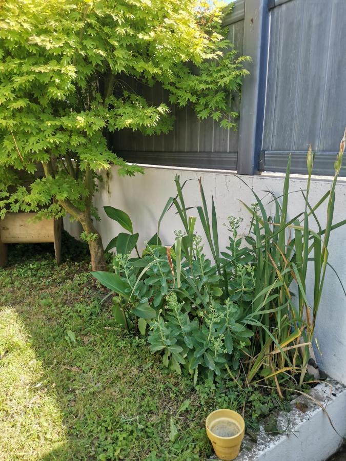 Charmante Maisonnette 布雷斯特 外观 照片